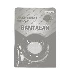 BEARING OTOBAI 6905 2RS PRESS